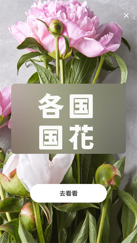 照片转动漫app1.1.0