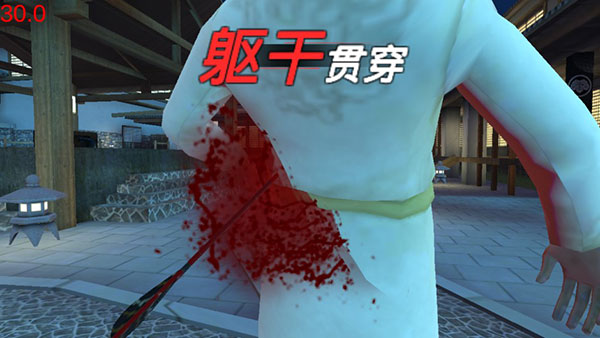 忍者信条3D中文版v4.6.1