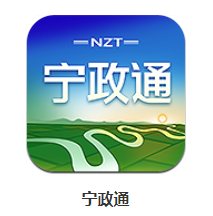 宁政通app 1