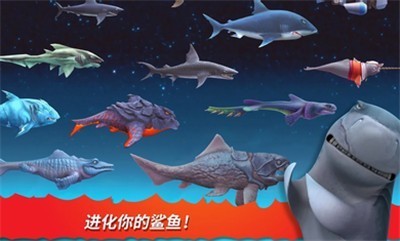 饥饿鲨进化国际服v8.11.0