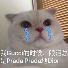 gucci的时候眼泪pradaprada的dior表情包v1.4