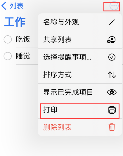 【iPhone提醒事项列表打印步骤介绍】