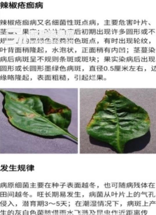 作物病害检测app下载