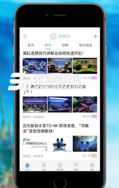 海精灵海水鱼论坛app