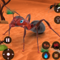 蚂蚁模拟器昆虫进化Ant Simulator1.1.1