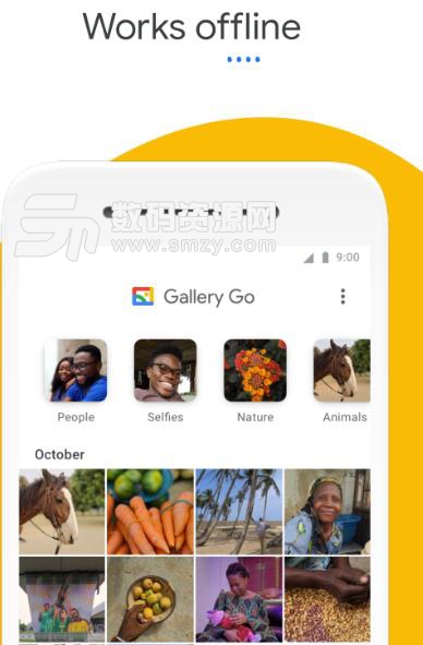 Gallery Go官方版