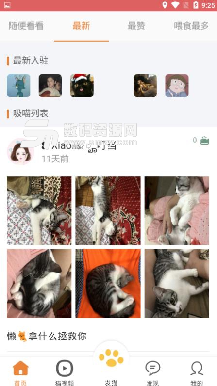 时时猫彩APP安卓最新版