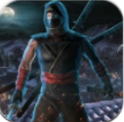 忍者战争英雄安卓版(身怀绝技的忍者战士) v1.0 手机正式版