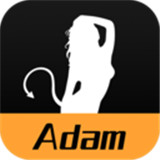 adam社交v2.4