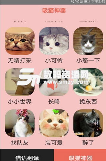 火猫猫语app安卓版
