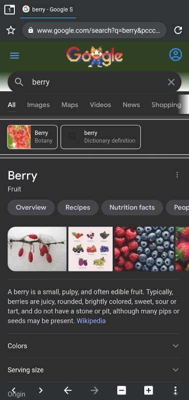 berry浏览器v1.43.90
