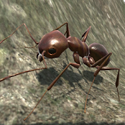 3d蚂蚁模拟器  3.4.4