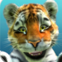 小动物岛安卓版(陪伴动物们一起玩耍) v1.2 最新手机版
