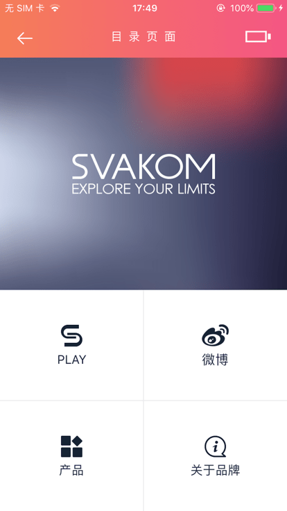 svakomv1.5.0