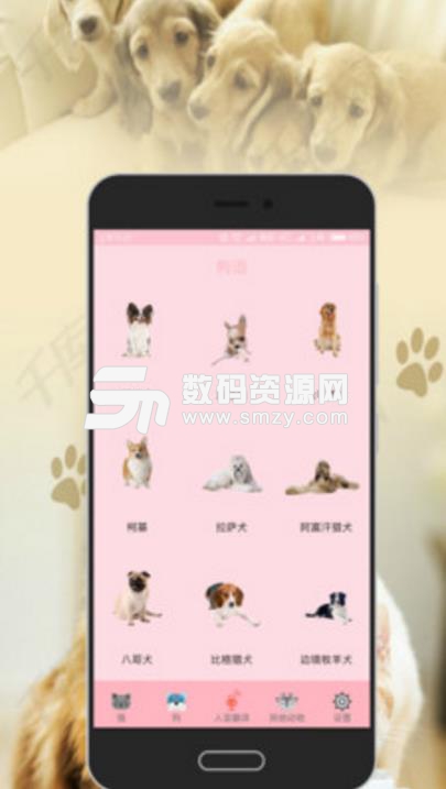 狗语专家最新app