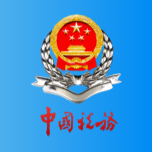 新疆税务appv3.29.1