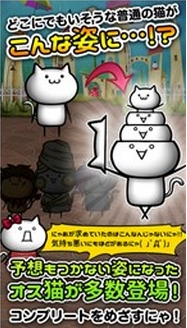 猫咪的收集Android版