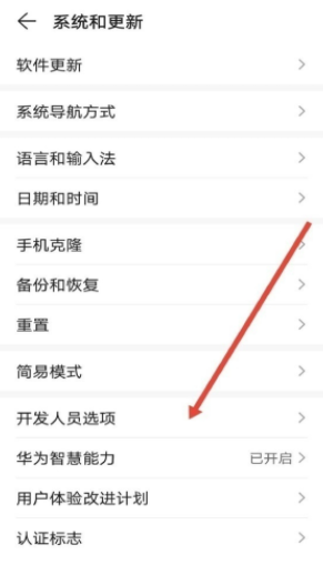 【华为mate40打开开发者选项方法介绍】