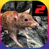 母鼠模拟器2游戏v1.1
