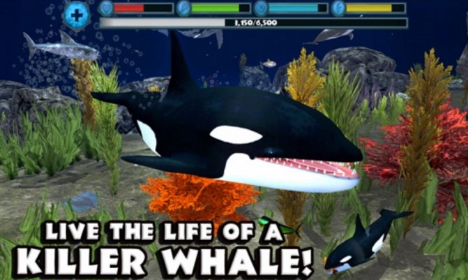 虎鲸模拟安卓版截图