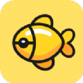 大金鱼v1.1.1