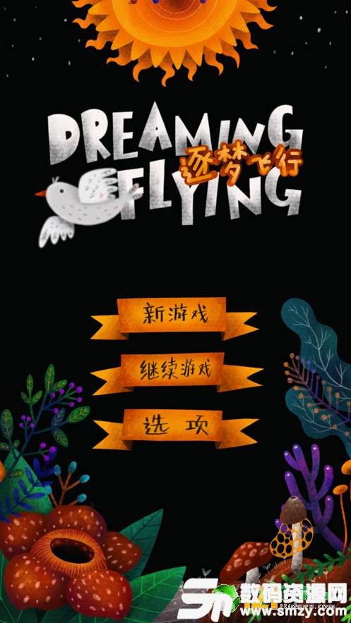 DreamFlying图1