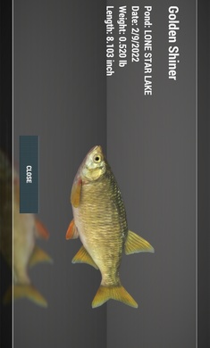 Fishing Planet手机版v1.0.281