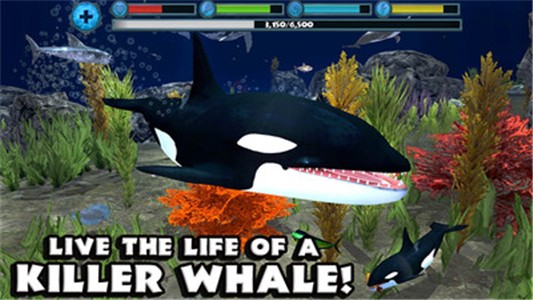 虎鲸攻击模拟3Dv2.10