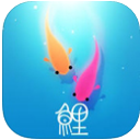鲤koi安卓版(浓浓的中国风) v1.3 官方最新版