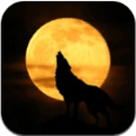 战狼直播appv1.3.0