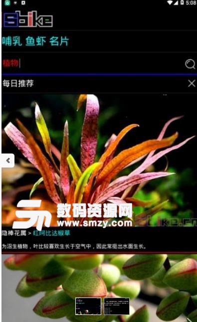 植物网大全免费版