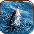 真實釣魚3D安卓手機版(Real Fishing Pro 3D) v1.3.2 免費版