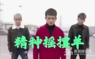 搖擺陽表情包大全