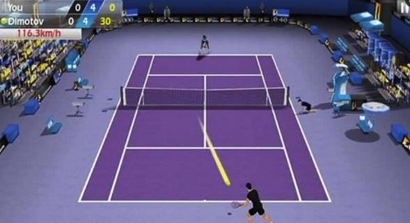 3d网球完美版截图