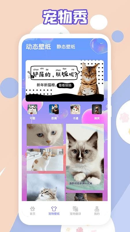 萌猫乐园最新版 1.11.2