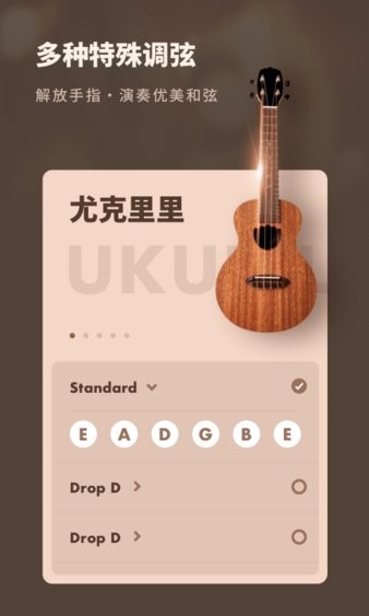 吉他调音器专业版2.30902.12