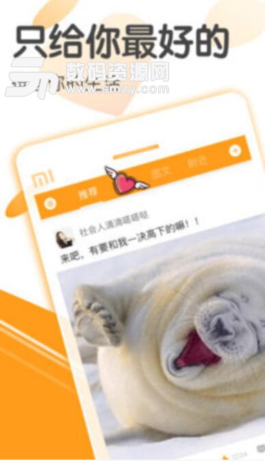 段友交友手机APP