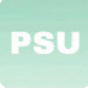 Psu安卓版(手机桌面配色app) v1.3 手机版