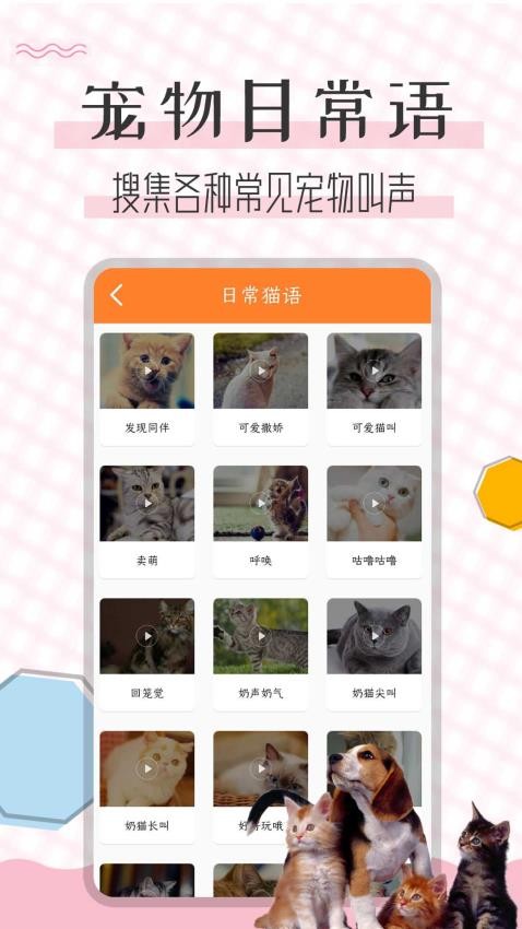 猫语翻译宝2024v1.2.4