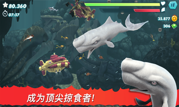 饥饿大白鲨v1.1