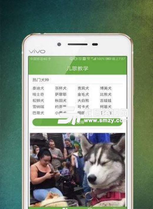 爱狗伴侣安卓版app下载