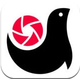 腾讯画报安卓版(手机图片社交app) v1.2.0.2 免费Android版