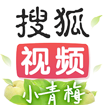 搜狐视频极速版app软件 9.8.10