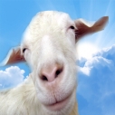 山羊模拟器安卓版(手机休闲游戏) v1.3 最新免费版