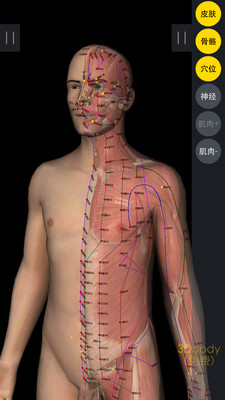 3DBody解剖v8.3.72