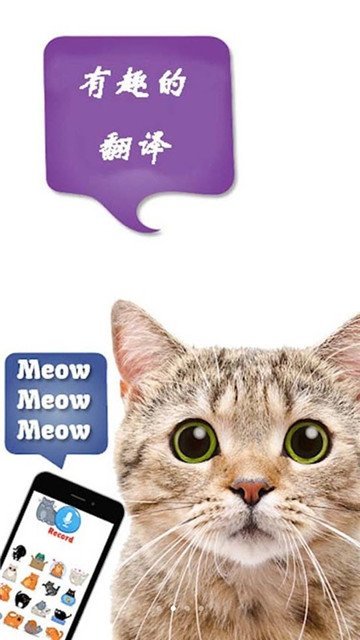 猫狗语言翻译器1.2