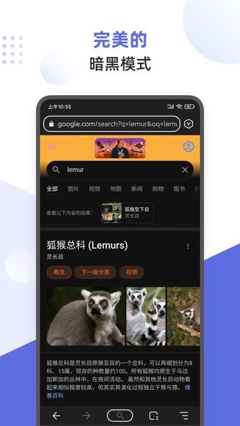 狐猴浏览器app v2.4.0.003