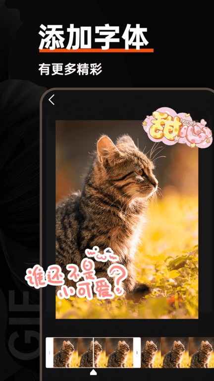 gif动图制作器appv4.5.1