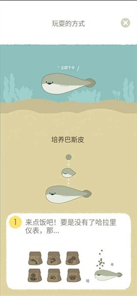 养萨卡班甲鱼v1.1.9