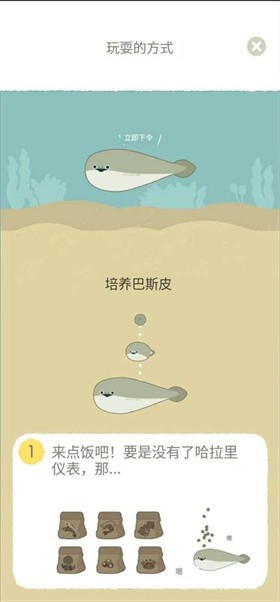 養薩卡班甲魚v1.1.9